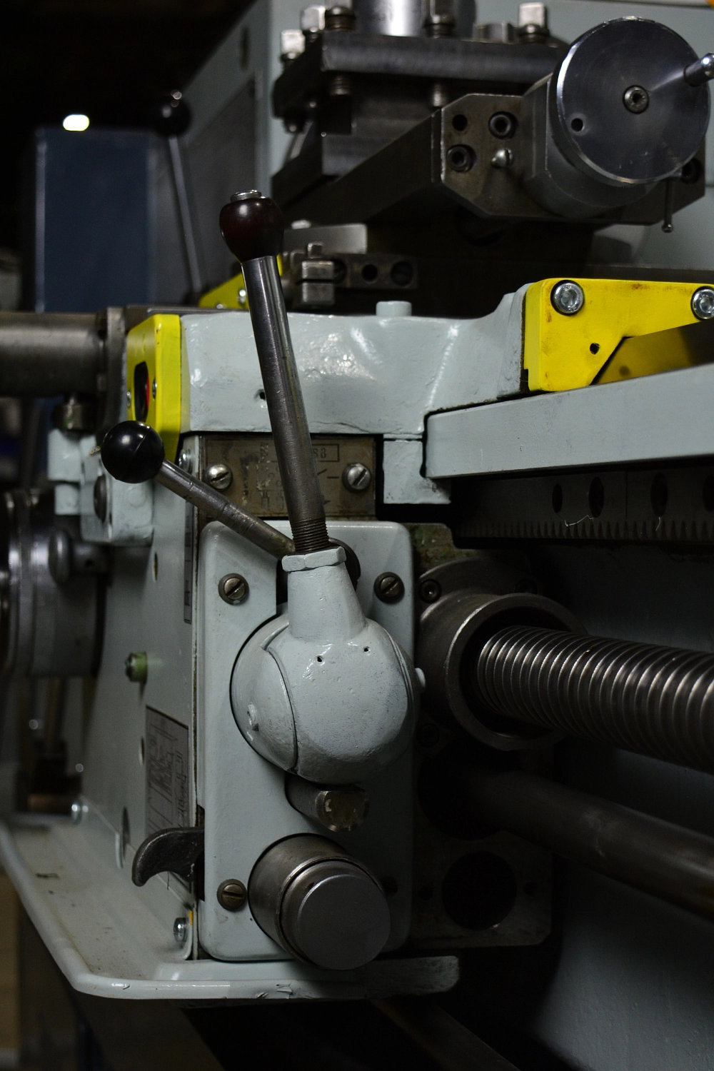 Наши новые друзья